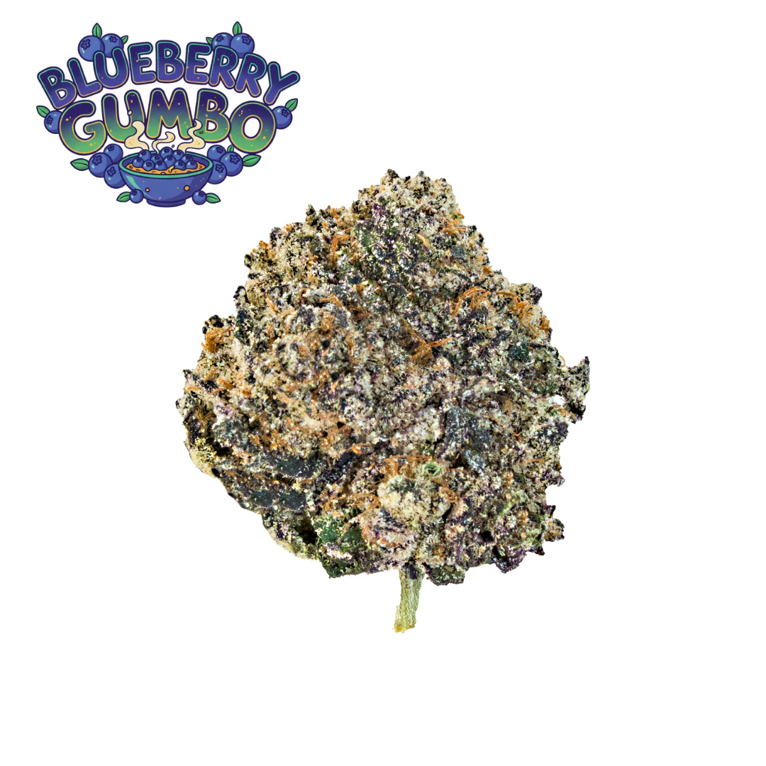 Elevate Best Sellers Bundle (14g) - Image 3