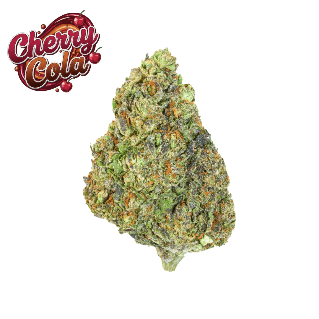 Elevate Best Sellers Bundle (14g) - Image 4