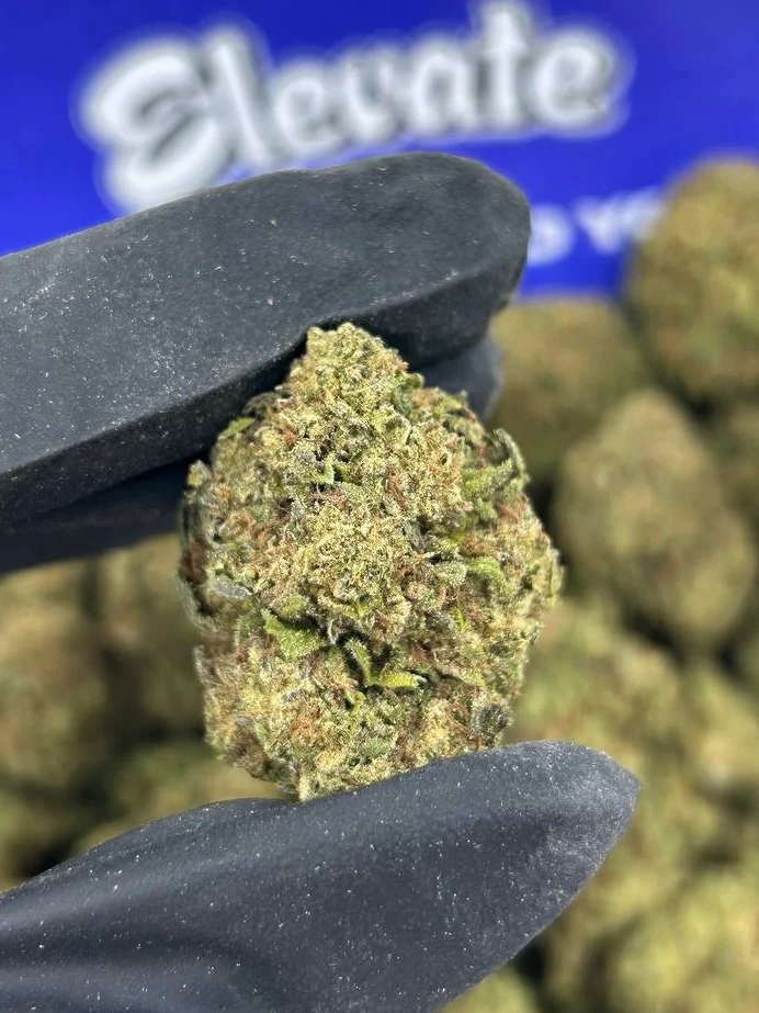 Grape Jelly Gas - Image 2