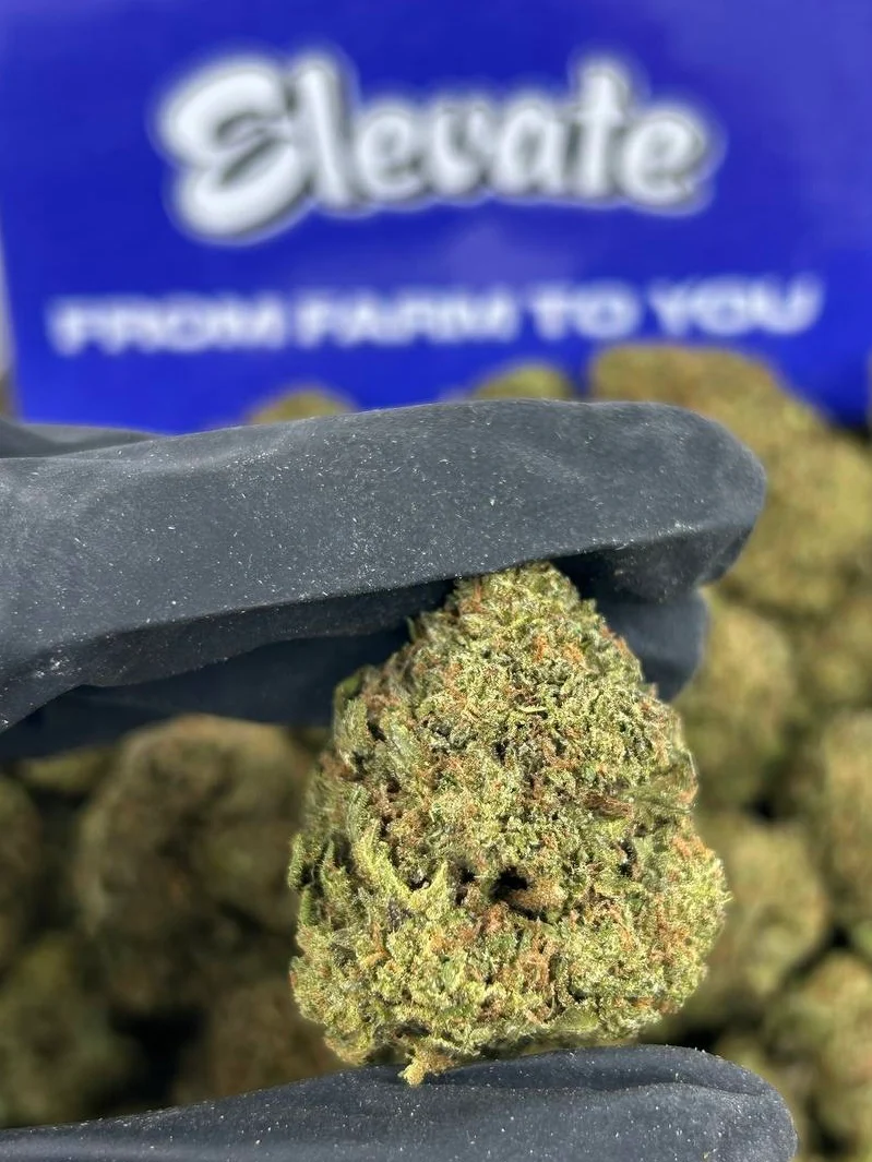 Lemon Pineapple OG - Image 2
