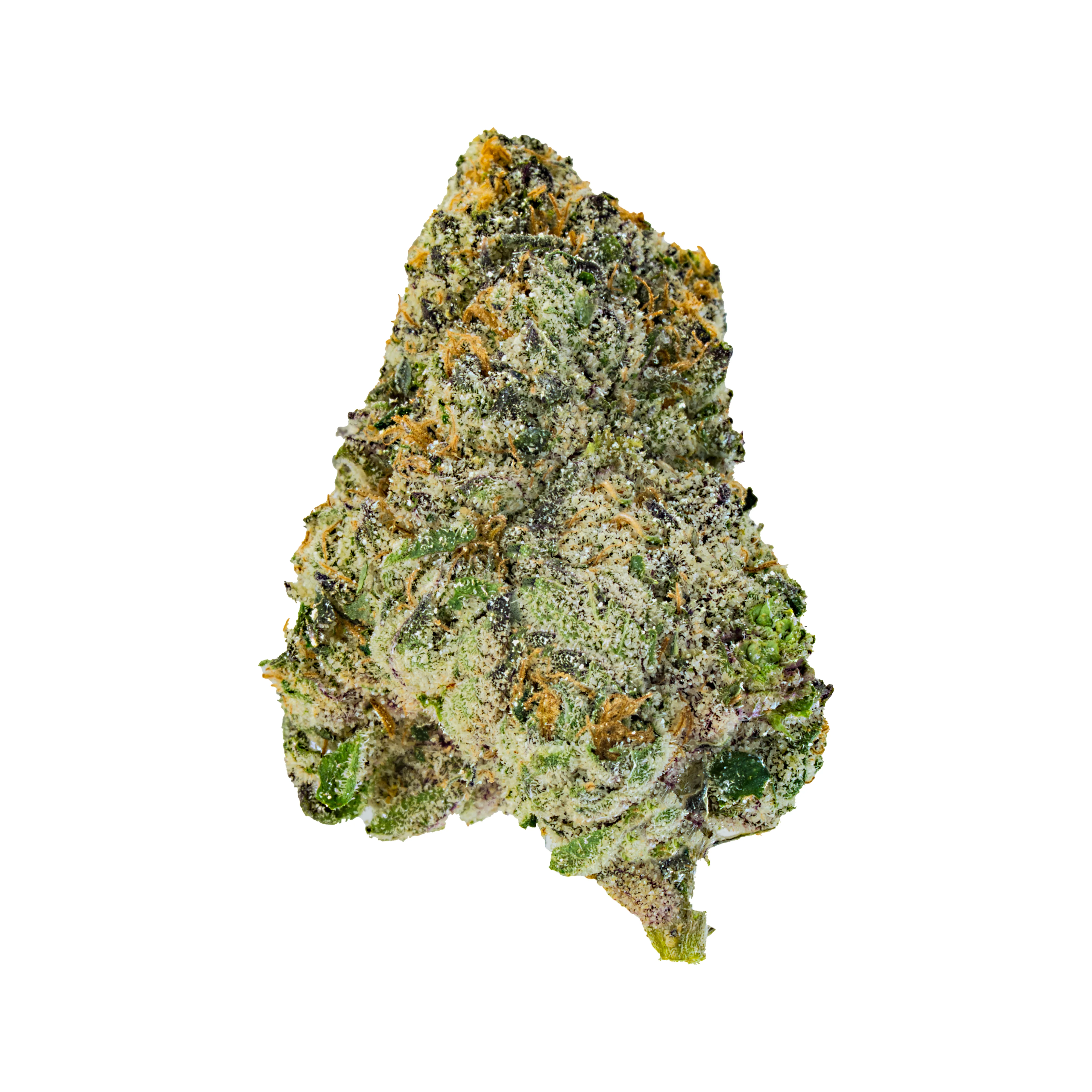 Sleepy Joe OG - Image 2