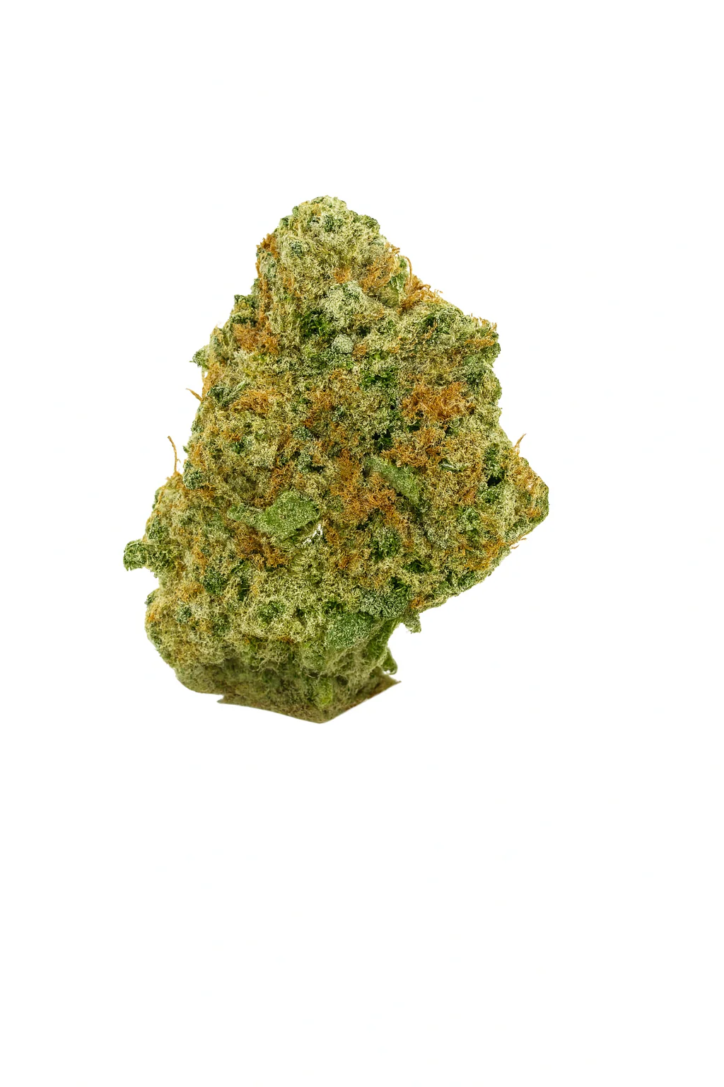 Tropical Zlushee - Image 2