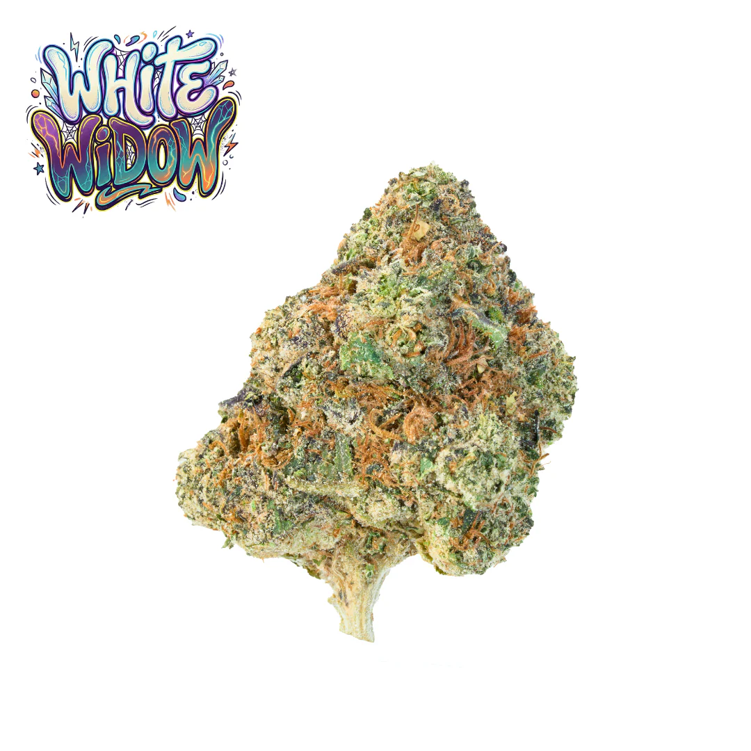 White Widow