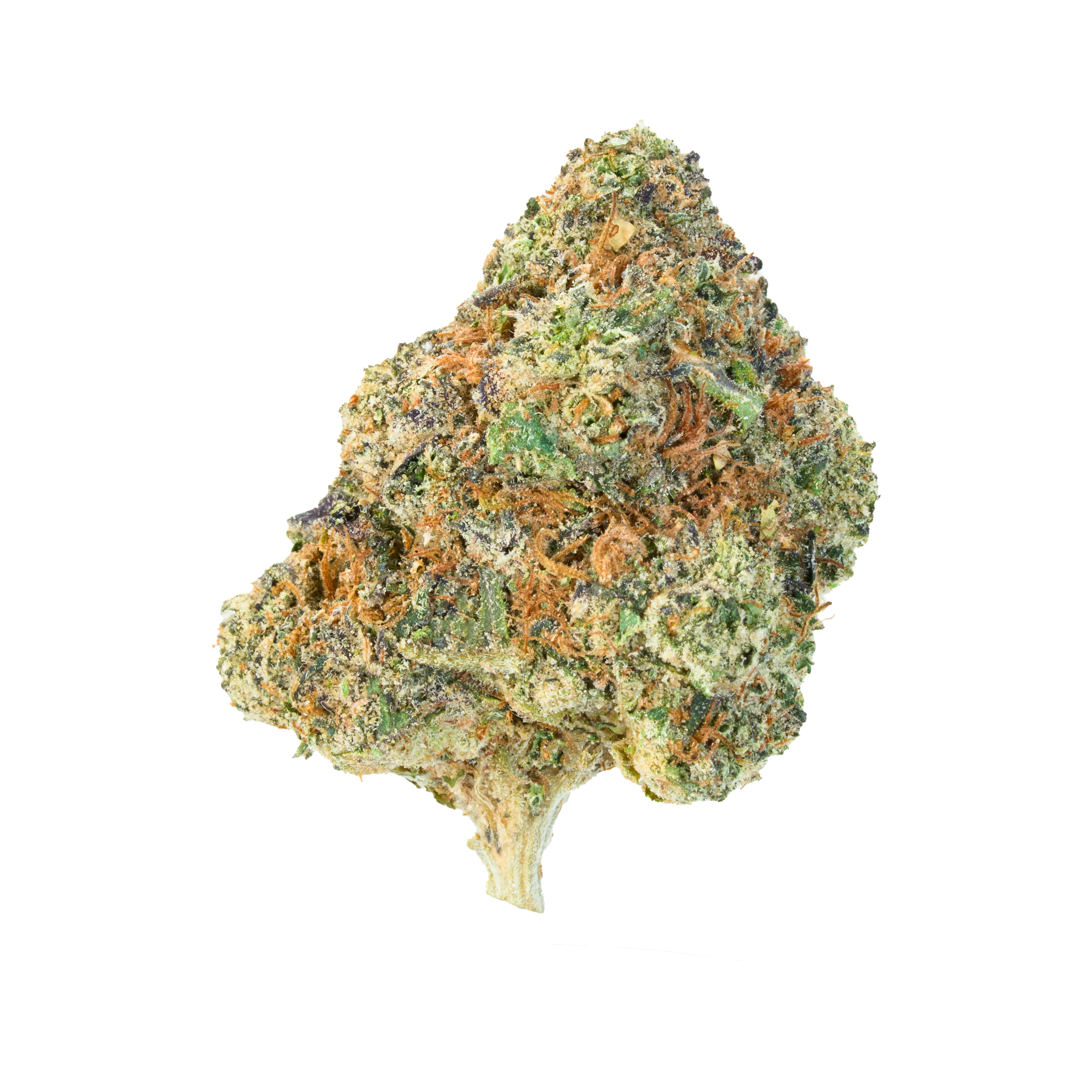 White Widow - Image 2